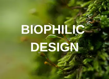 Blog - Biophilic design – jak wprowadzić naturę do wnętrza i czemu to działa?